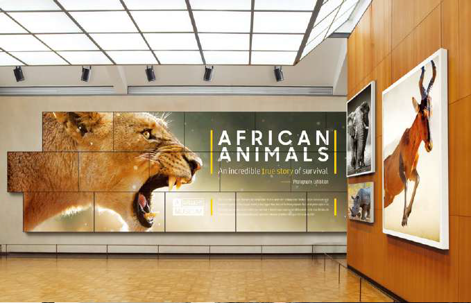 Museos